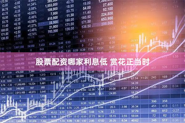 股票配资哪家利息低 赏花正当时