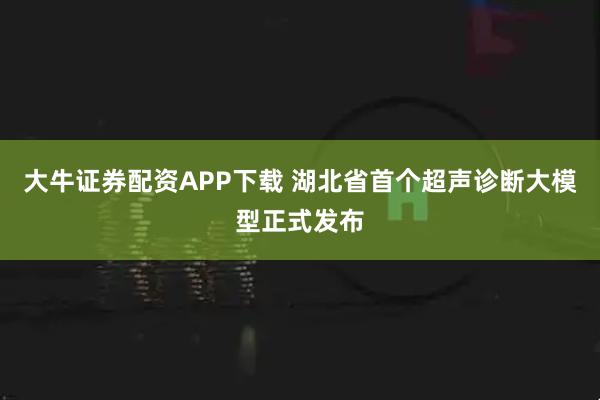 大牛证券配资APP下载 湖北省首个超声诊断大模型正式发布