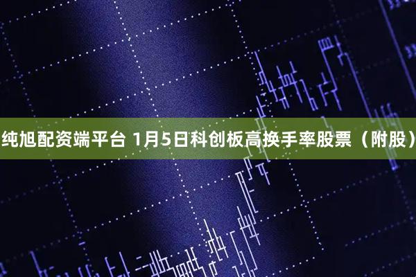纯旭配资端平台 1月5日科创板高换手率股票（附股）