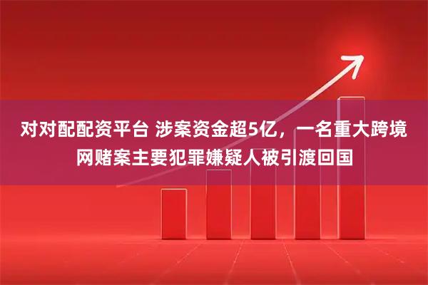 对对配配资平台 涉案资金超5亿，一名重大跨境网赌案主要犯罪嫌疑人被引渡回国