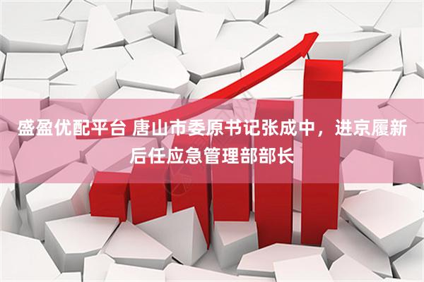 盛盈优配平台 唐山市委原书记张成中，进京履新后任应急管理部部长